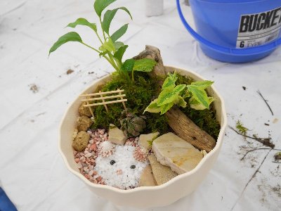 園芸装飾体験の様子・写真（完成したコンテナガーデン）